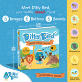 Ditty Bird - Safari Animal Sounds Sound Book : Ages 1 + Years