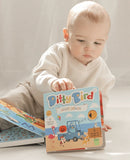 Ditty Bird - Color Songs Sound Book : Ages 1 + Years