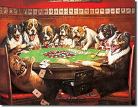 Desperate Enterprises Tin Sign - 8 Dogs Playing Poker - 41 x 32 cm